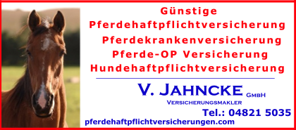 Hengst