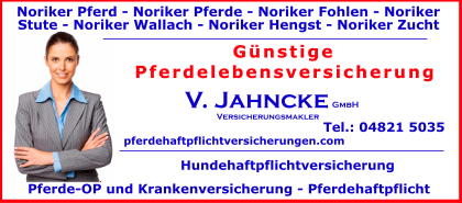 Noriker
